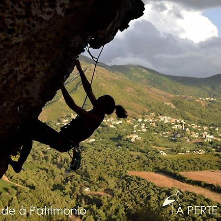 Apartmán Studio Terremer Patrimonio Exteriér fotografie