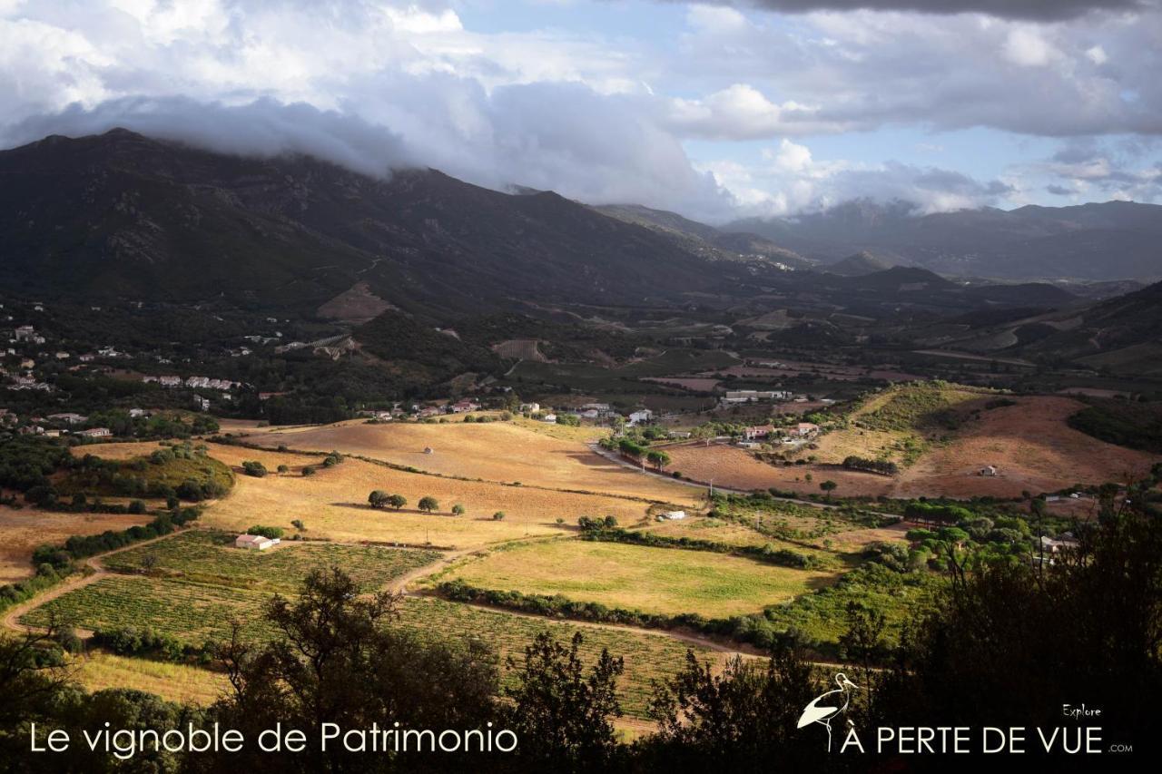 Apartmán Studio Terremer Patrimonio Exteriér fotografie